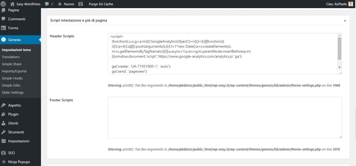 script google analytics