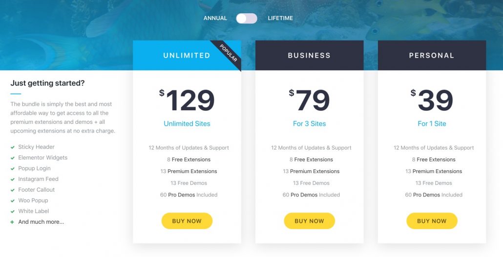 OceanWP Pricing Annual