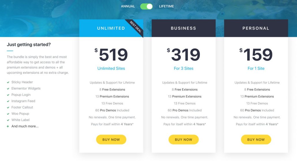 OceanWP Pricing Lifetime